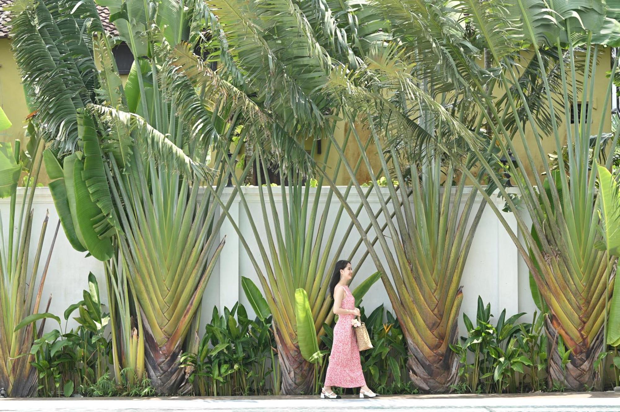 Shining Riverside Hoi An Boutique & Spa Екстериор снимка